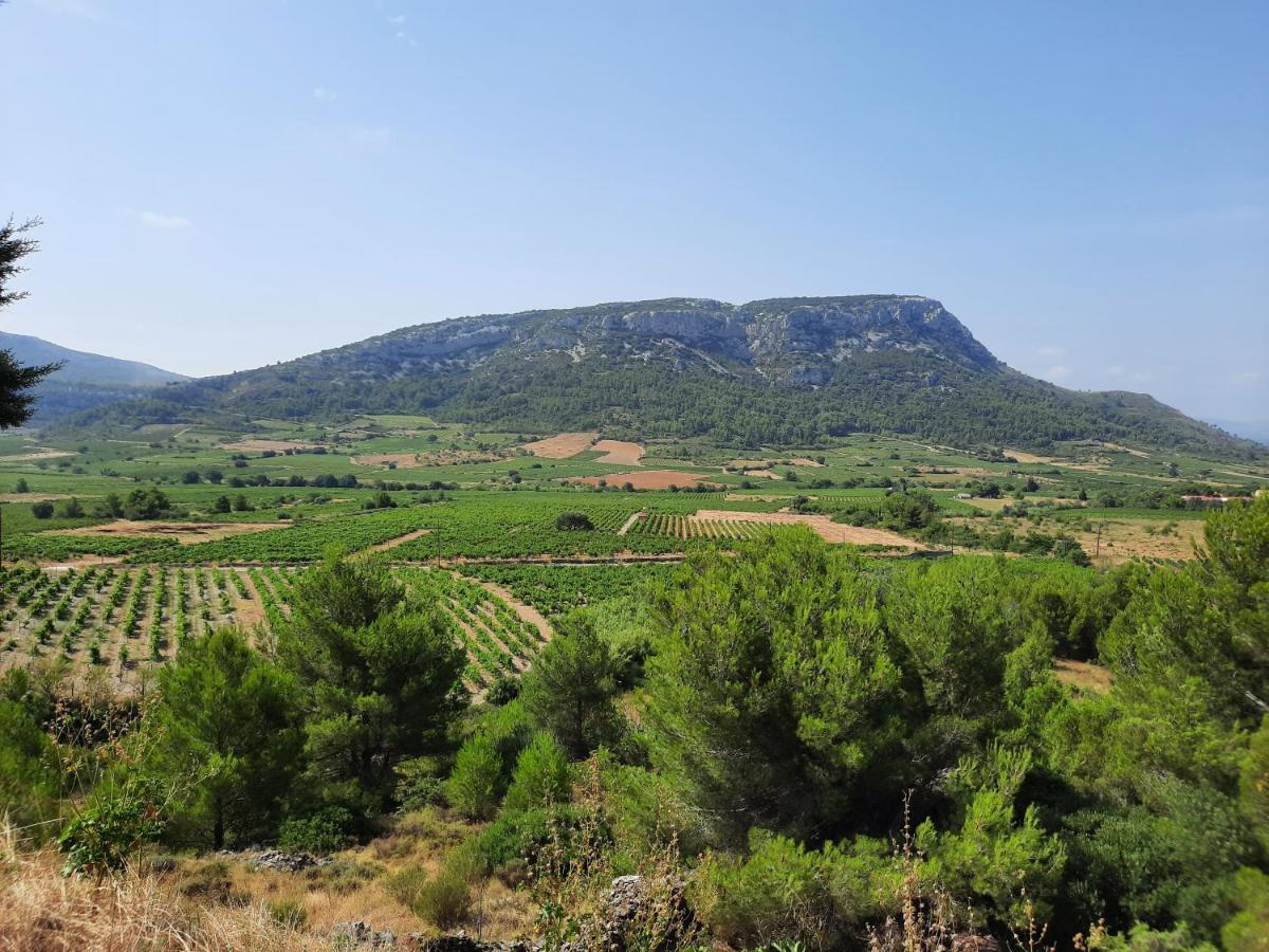 Chambre Privee Climatisee Chez Particulier, Wifi Διαμέρισμα Περπινιάν Εξωτερικό φωτογραφία