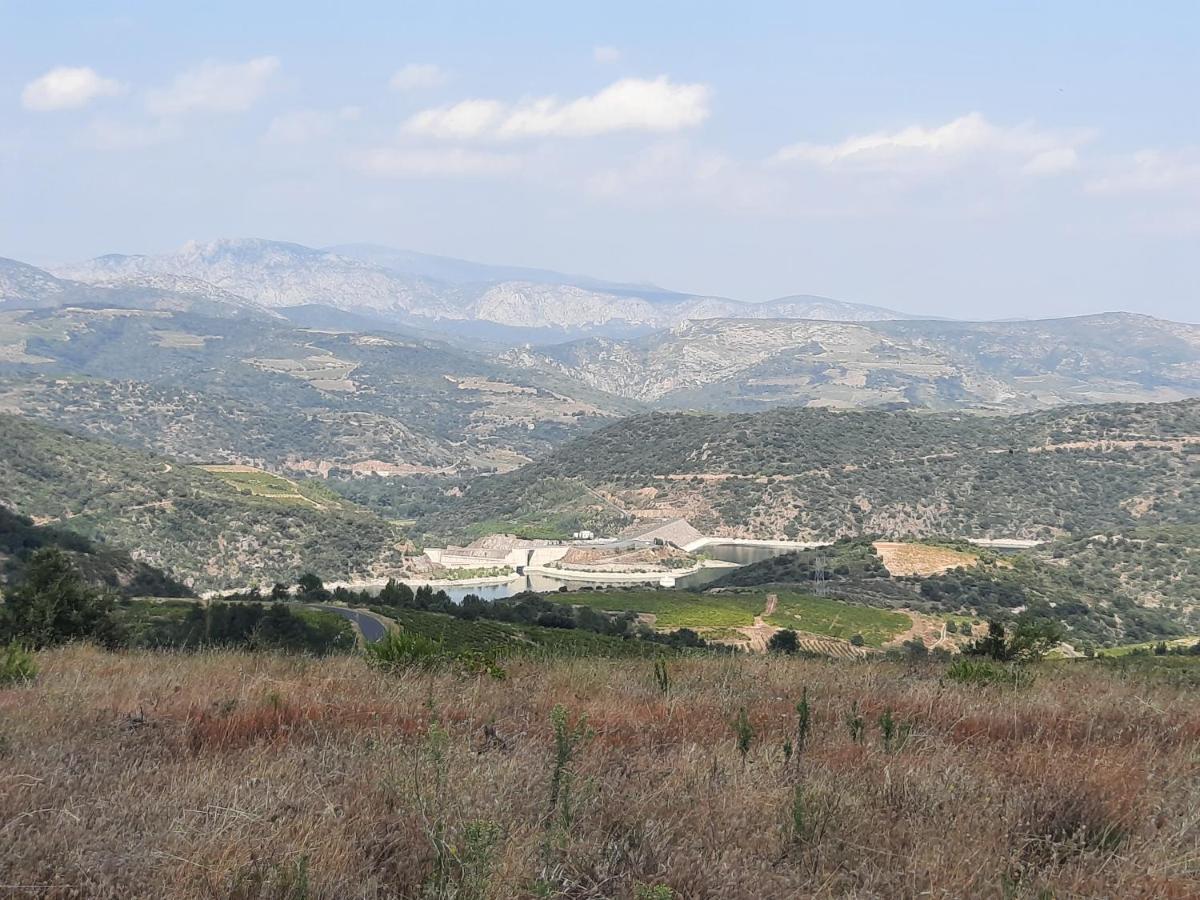 Chambre Privee Climatisee Chez Particulier, Wifi Διαμέρισμα Περπινιάν Εξωτερικό φωτογραφία